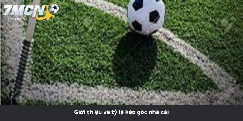 Giới thiệu về tỷ lệ kèo góc nhà cái