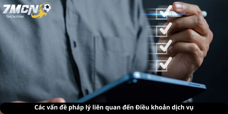 Các vấn đề pháp lý liên quan đến Điều khoản dịch vụ