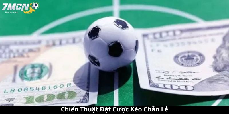 Chiến Thuật Đặt Cược Kèo Chẵn Lẻ 7mcn