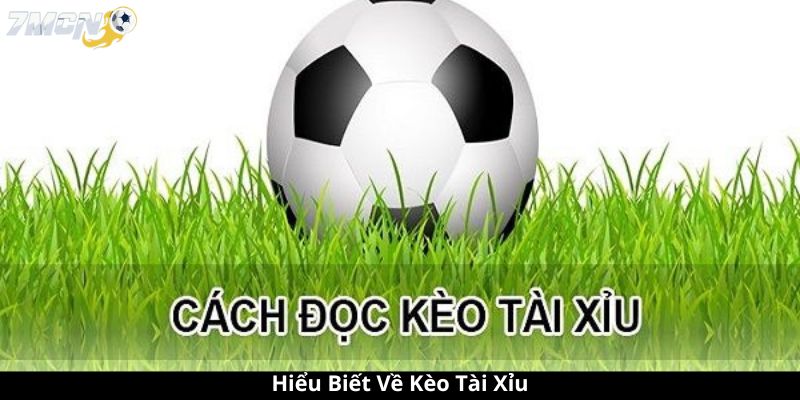 Hiểu Biết Về Kèo Tài Xỉu
