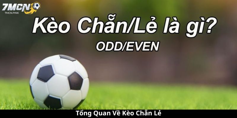 Tổng Quan Về Kèo Chẵn Lẻ